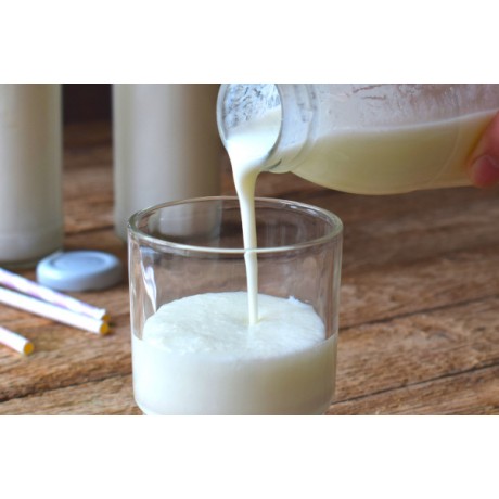 1 L - Kefir de Lait Bio